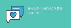 贵州大学(中外合作)学费多少钱一年（2024收费标准）