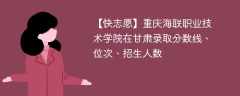 重庆海联职业技术学院在甘肃录取分数线、位次、招生人数（2021-2023招生计划）