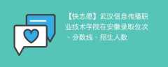 武汉信息传播职业技术学院在安徽录取位次、分数线、招生人数「2021-2023招生计划」