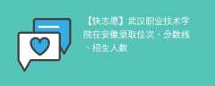 武汉职业技术学院在安徽录取位次、分数线、招生人数「2021-2023招生计划」