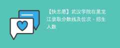 武汉学院在黑龙江录取分数线及位次、招生人数「2021-2023招生计划」