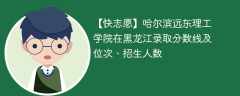 哈尔滨远东理工学院在黑龙江录取分数线及位次、招生人数「2021-2023招生计划」