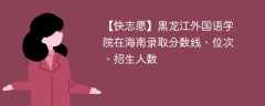 黑龙江外国语学院在海南录取分数线、位次、招生人数（2021-2023招生计划）