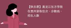 黑龙江东方学院在贵州录取位次、分数线、招生人数「2021-2023招生计划」