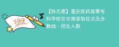 重庆医药高等专科学校在甘肃录取位次及分数线、招生人数（2021-2023招生计划）