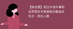 武汉外语外事职业学院在甘肃录取分数线及位次、招生人数「2021-2023招生计划」