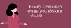 三亚理工职业学院在重庆录取分数线及位次、招生人数「2021-2023招生计划」