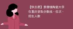 景德镇陶瓷大学在重庆录取分数线、位次、招生人数（2021-2023招生计划）