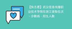 武汉信息传播职业技术学院在浙江录取位次、分数线、招生人数「2021-2023招生计划」