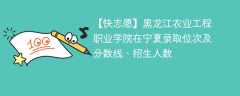 黑龙江农业工程职业学院在宁夏录取位次及分数线、招生人数（2021-2023招生计划）