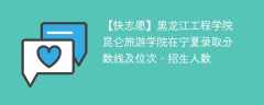 黑龙江工程学院昆仑旅游学院在宁夏录取分数线及位次、招生人数「2021-2023招生计划」