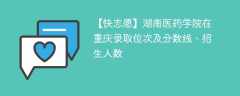 湖南医药学院在重庆录取位次及分数线、招生人数（2021-2023招生计划）