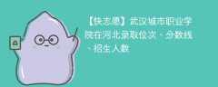 武汉城市职业学院在河北录取位次、分数线、招生人数「2021-2023招生计划」