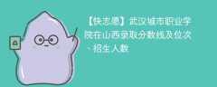 武汉城市职业学院在山西录取分数线及位次、招生人数「2021-2023招生计划」