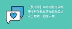 郑州澍青医学高等专科学校在青海录取位次及分数线、招生人数（2021-2023招生计划）