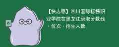 四川国际标榜职业学院在黑龙江录取分数线、位次、招生人数（2021-2023招生计划）