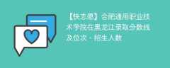 合肥通用职业技术学院在黑龙江录取分数线及位次、招生人数「2021-2023招生计划」