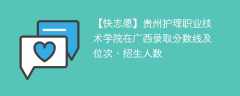 贵州护理职业技术学院在广西录取分数线及位次、招生人数「2021-2023招生计划」