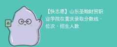 山东圣翰财贸职业学院在重庆录取分数线、位次、招生人数（2021-2023招生计划）