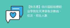 四川国际标榜职业学院在天津录取分数线、位次、招生人数（2021-2023招生计划）