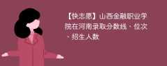 山西金融职业学院在河南录取分数线、位次、招生人数（2021-2023招生计划）