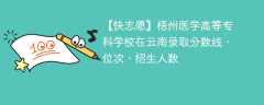 梧州医学高等专科学校在云南录取分数线、位次、招生人数（2021-2023招生计划）