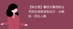 攀枝花攀西职业学院在湖南录取位次、分数线、招生人数「2022-2024招生计划」