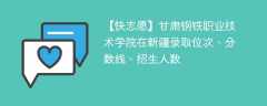 甘肃钢铁职业技术学院在新疆录取位次、分数线、招生人数「2022-2024招生计划」