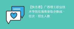 广西理工职业技术学院在海南录取分数线、位次、招生人数（2022-2024招生计划）