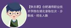合肥通用职业技术学院在湖北录取位次、分数线、招生人数「2022-2024招生计划」