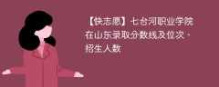 七台河职业学院在山东录取分数线及位次、招生人数「2021-2023招生计划」