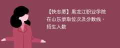 黑龙江职业学院在山东录取位次及分数线、招生人数（2021-2023招生计划）