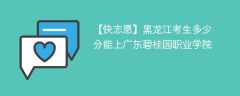 2024黑龙江考生多少分能上广东碧桂园职业学院（附2021-2023录取分数线）