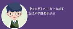 2024四川考上宣城职业技术学院要多少分（附2021-2023录取分数线）