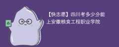 2024四川考多少分能上安徽粮食工程职业学院（附2021-2023录取分数线）