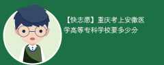 2025重庆考生多少分能上安徽医学高等专科学校(附2022-2024录取分数线)