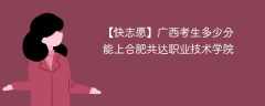 2025广西考生多少分能上合肥共达职业技术学院(附2022-2024录取分数线)