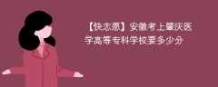 2025安徽考生多少分能上肇庆医学院(附2022-2024录取分数线)