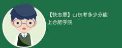 2025山东考生多少分能上合肥大学(附2022-2024录取分数线)