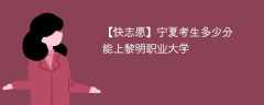 2024宁夏考生多少分能上黎明职业大学（附2021-2023录取分数线）