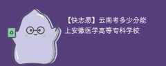 2025云南考多少分能上安徽医学高等专科学校(附2022-2024录取分数线)