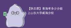 2025青海考上山东大学威海分校要多少分(附2022-2024录取分数线)