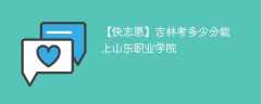 2024吉林考多少分能上山东职业学院（附2021-2023录取分数线）