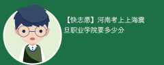 2024河南考上上海震旦职业学院要多少分（附2021-2023录取分数线）