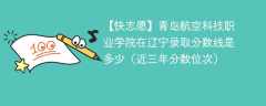 青岛航空科技职业学院2024年在辽宁录取分数线是多少（2024~2022近三年分数位次）