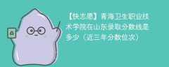 2024年青海卫生职业技术学院在山东录取分数线是多少（2024~2022近三年分数位次）