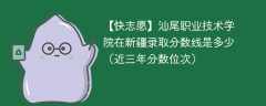 汕尾职业技术学院在新疆录取分数线2024年是多少（2024~2022近三年分数位次）