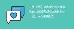 2024年明达职业技术学院在山东录取分数线是多少（2024~2022近三年分数位次）