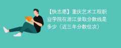 2024年重庆艺术工程职业学院在浙江录取分数线是多少（2024~2022近三年分数位次）
