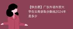 广东外语外贸大学在云南录取分数线2024年是多少（2024~2022近三年分数位次）